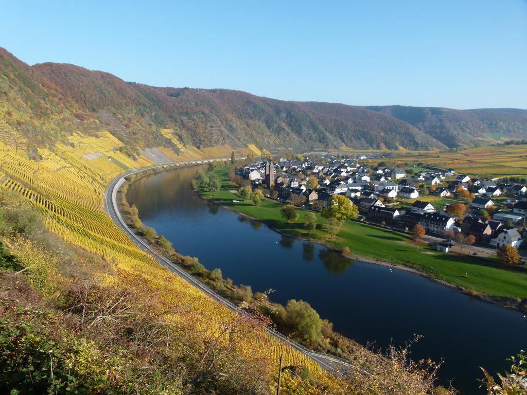 Готель Ferienweingut Rudorfer Фальвіґ Екстер'єр фото