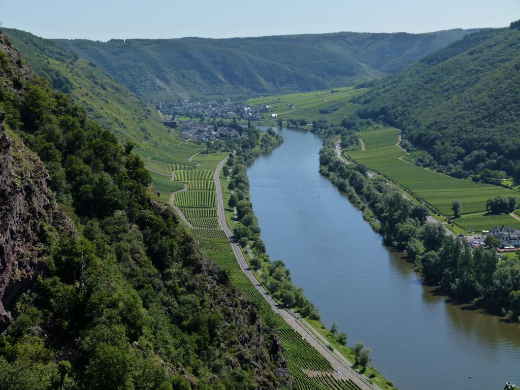 Готель Ferienweingut Rudorfer Фальвіґ Екстер'єр фото