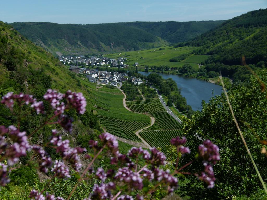 Готель Ferienweingut Rudorfer Фальвіґ Екстер'єр фото